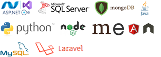 Microsoft ASP.net C# Core,SQL Server,MongoDB,Java,Python,Node.js,Mean,MySQL,Laravel