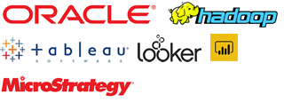 Oracle, Tableau,PowerBI,Hadopp,microstratgey,Looker